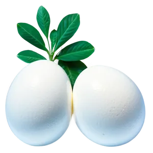 Egg White Png 05242024 PNG image