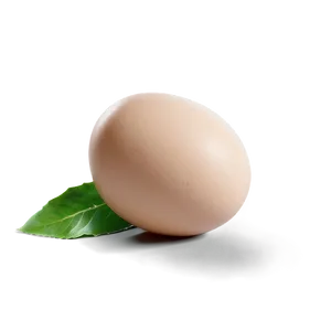 Egg White Png 15 PNG image