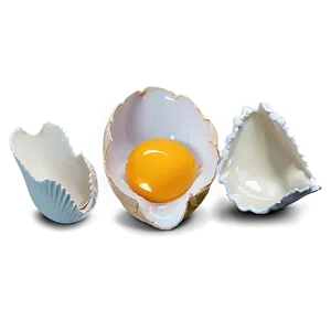 Egg Yolk And Shell PNG 06132024 PNG