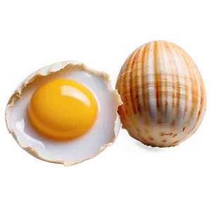 Egg Yolk And Shell PNG Vli PNG