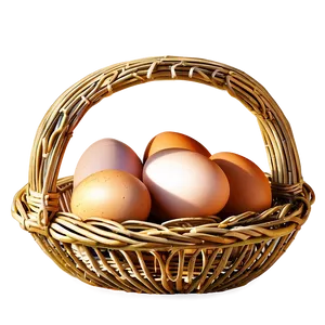 Eggs In Basket PNG 05242024