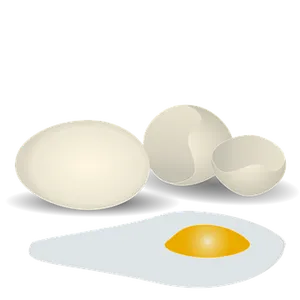 Eggs_ Variety_ Illustration