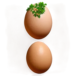 Eggs With Herbs PNG 05242024 PNG