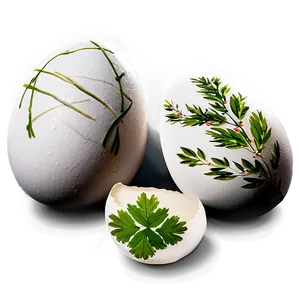 Eggs With Herbs PNG Qbv PNG
