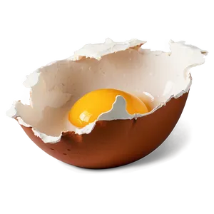 Eggshell Broken Pieces PNG 06132024 PNG