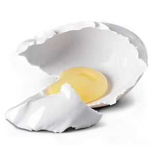 Eggshell Broken Pieces PNG 69 PNG