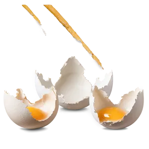 Eggshell Broken Pieces PNG Ulq8 PNG