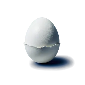 Eggshell Crack PNG 06132024 PNG