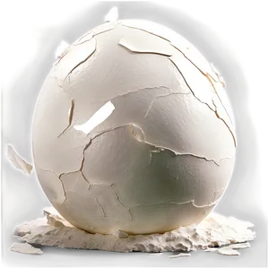 Eggshell Crack Texture PNG 55
