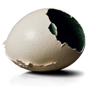 Eggshell Cracking PNG Uum1 PNG