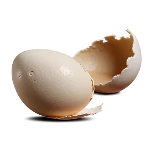 Eggshell Damage PNG 06132024 PNG