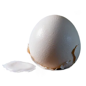 Eggshell Damage PNG 39 PNG