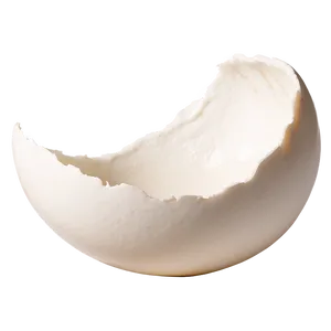 Eggshell Fragment Png 06132024 PNG image