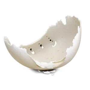 Eggshell Fragment Png 66 PNG image