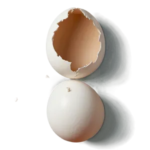 Eggshell Pieces Art PNG 06132024 PNG