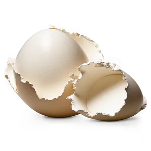 Eggshell Pieces Art PNG Gif62 PNG
