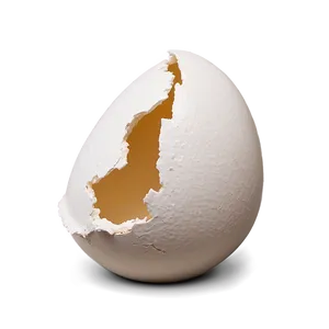 Eggshell With Crack PNG 06132024 PNG