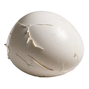 Eggshell With Crack PNG 25 PNG