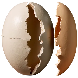 Eggshell With Crack PNG Rwc5 PNG