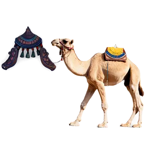 Egyptian Camel PNG 05212024