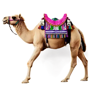 Egyptian Camel PNG Mls94