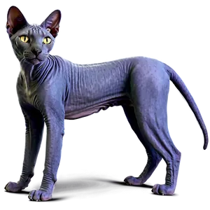 Egyptian Hairless Cat Png Qpx52 PNG image