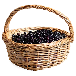 Elderberry Basket PNG Kfh