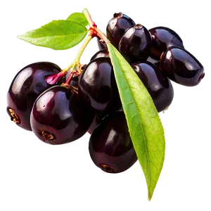 Elderberry Vitamin C Png 06252024 PNG image