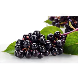 Elderberry Vitamin C PNG 06252024