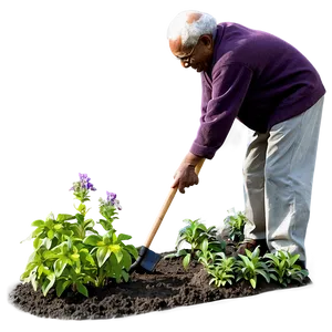 Elderly Man Gardening Png Kqp PNG image