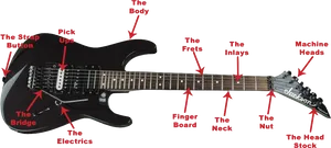 Electric Guitar Parts Identification