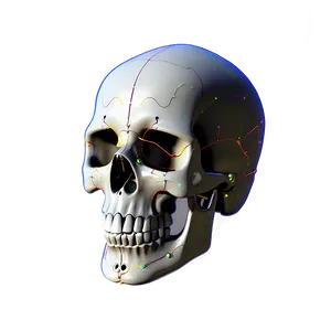 Electric Skull Visualization PNG B