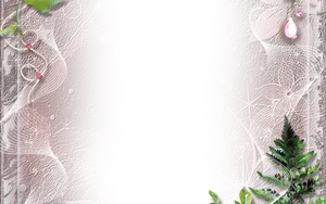 Elegant Abstract Frame Design