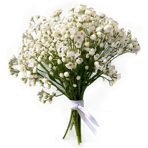 Elegant Baby's Breath Spray Png 60 PNG image