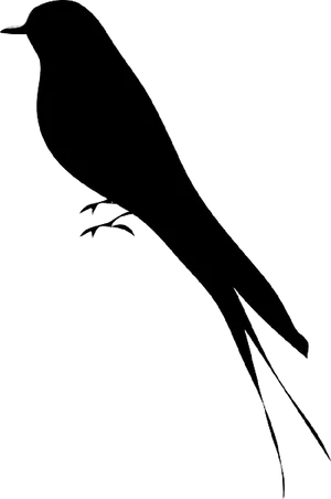 Elegant Bird Silhouette.png PNG image