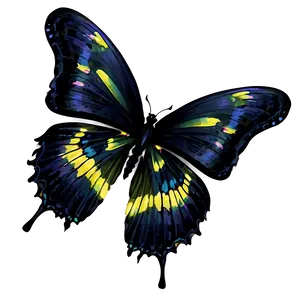 Elegant Black Butterfly Art Png Ftf13 PNG image