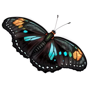 Elegant Black Butterfly Art PNG Gvf PNG