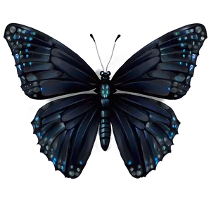 Elegant Black Butterfly Art PNG Smj PNG