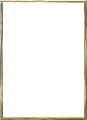 Elegant Black Gold Frame