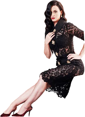 Elegant Black Lace Dress PNG