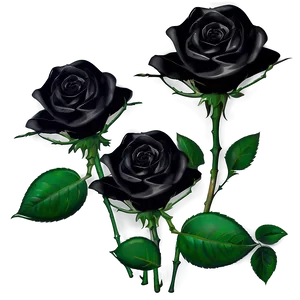 Elegant Black Roses Png 56 PNG image