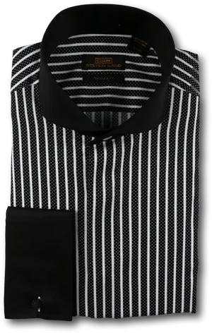 Elegant Black Striped Dress Shirt PNG image