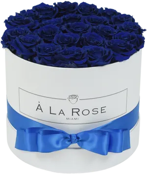 Elegant Blue Rosesin White Box PNG image