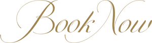 Elegant Book Now Calligraphy PNG image