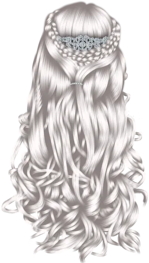 Elegant Braided Hairstyle PNG