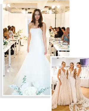Elegant Bridal Fashion Show PNG image