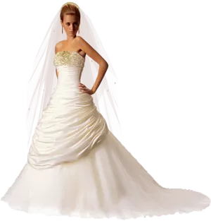 Elegant Bridein Strapless Gown PNG image