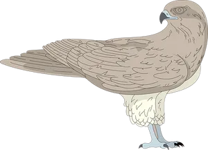 Elegant Brown Bird Illustration