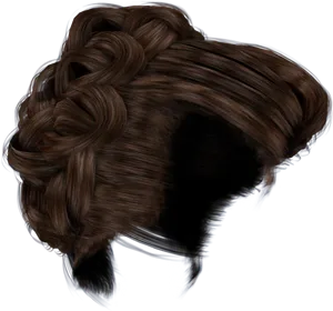 Elegant Brown Braided Hairstyle PNG image