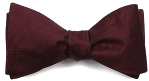 Elegant Burgundy Bow Tie PNG image